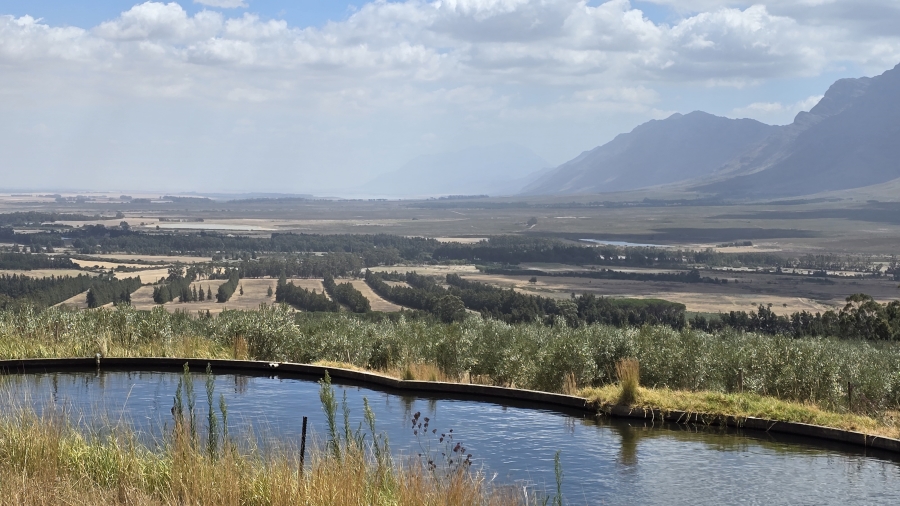 Commercial Property for Sale in Wellington Rural Western Cape